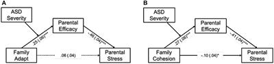 How do autistic severity and family functioning influence parental stress in caregivers of children with autism spectrum disorder in China? The important role of parental self-efficacy